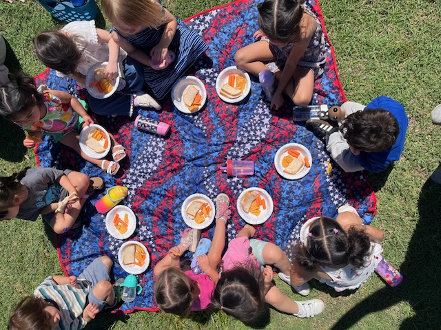 Class picnic on a blanket in the grass