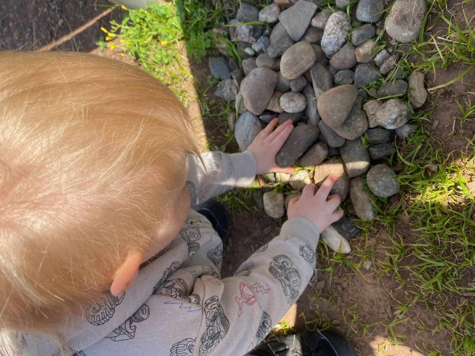 Exploring rocks and grass in the sunshine outdoors